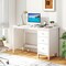 Costway Computer Desk Study Writing Desk Home Office Workstation with 3 Drawers White/Black/Brown